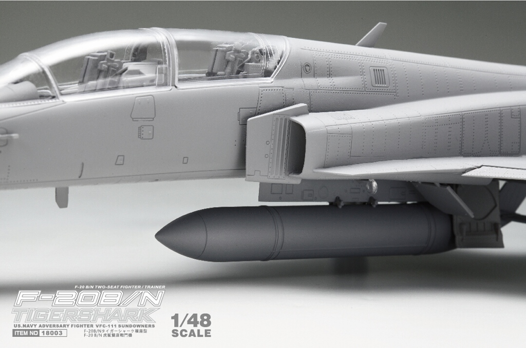 1/48 F-20B/N TIGERSHARK 2-Seater US Navy Adversary Fighter  Freedom Models 18003 
